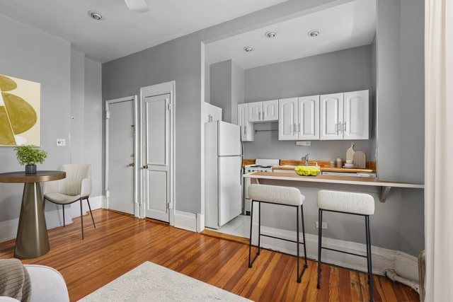 20 E Goethe Street 206, Chicago, IL 60610