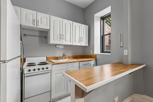 20 E Goethe Street 206, Chicago, IL 60610