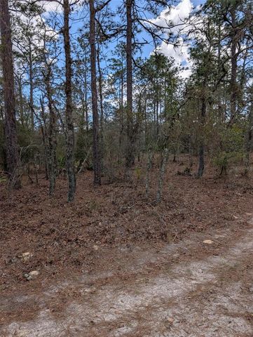 0 SW 90TH STREET, Dunnellon, FL 34432