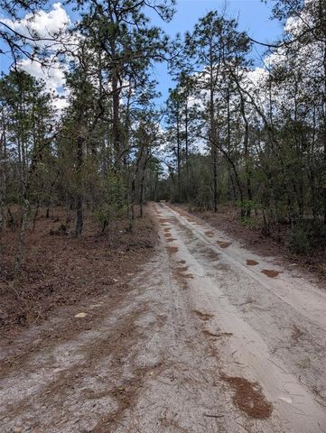0 SW 90TH STREET, Dunnellon, FL 34432