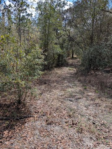 0 SW 90TH STREET, Dunnellon, FL 34432