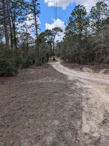 0 SW 90TH STREET, Dunnellon, FL 34432