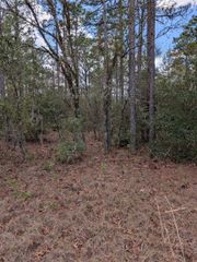 0 SW 90TH STREET, Dunnellon, FL 34432