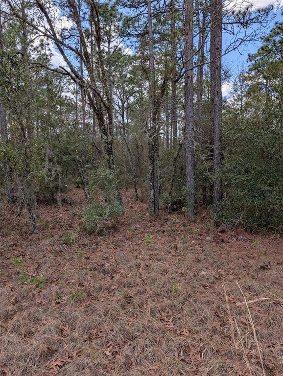 0 SW 90TH STREET, Dunnellon, FL 34432
