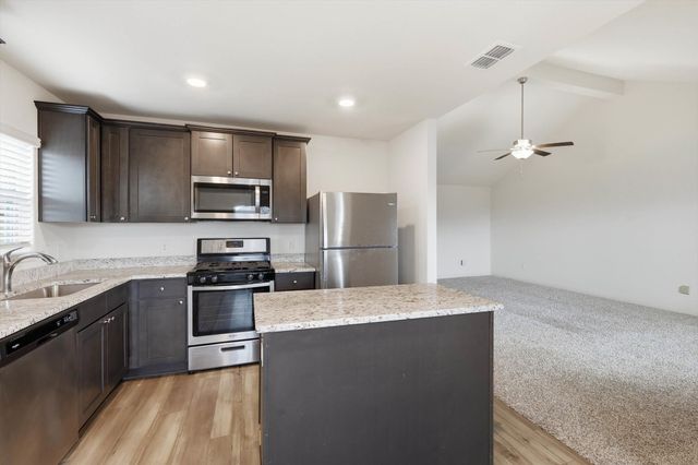 13709 Roosevelt Arch Drive, Ponder, TX 76259