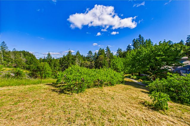 105 Buck Gulch Lane, Garberville, CA 95542
