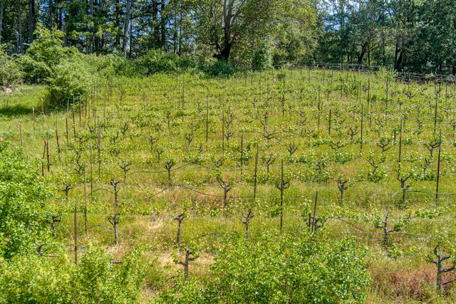 105 Buck Gulch Lane, Garberville, CA 95542