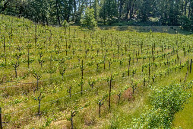 105 Buck Gulch Lane, Garberville, CA 95542