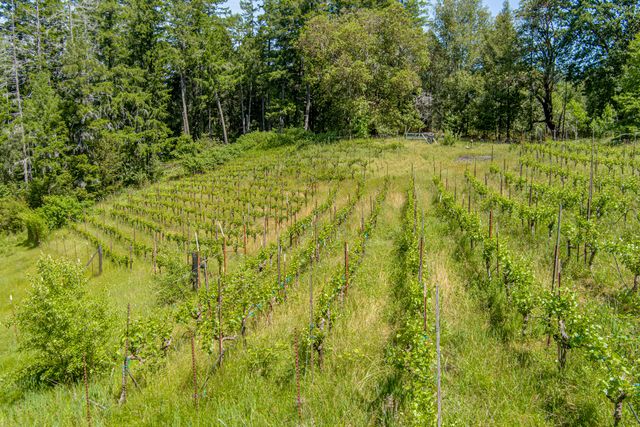 105 Buck Gulch Lane, Garberville, CA 95542