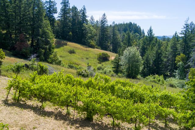 105 Buck Gulch Lane, Garberville, CA 95542