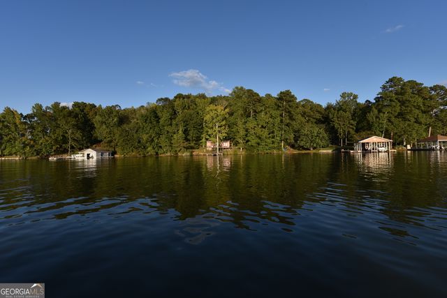 LOT 736 Lee Road 899, Salem, AL 36874