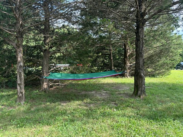 463 Redbird Drive, Marshfield, MO 65706