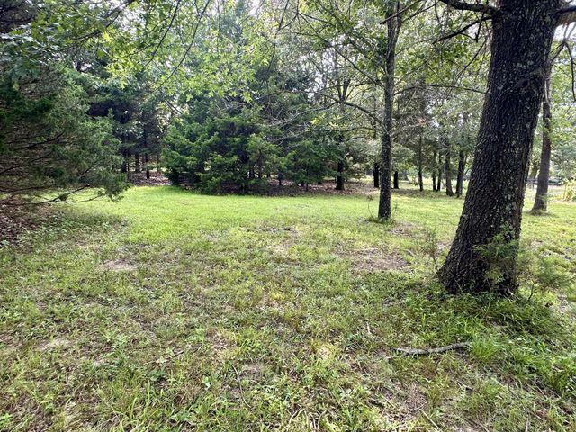 463 Redbird Drive, Marshfield, MO 65706