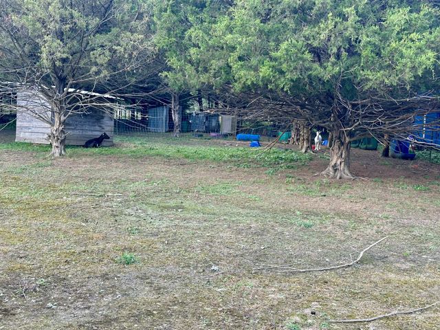 463 Redbird Drive, Marshfield, MO 65706