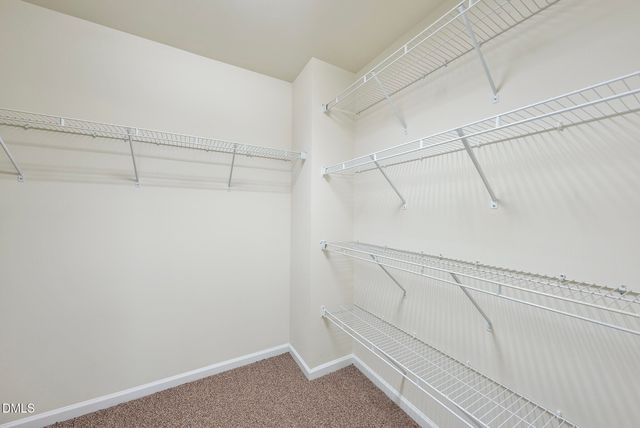 1341 Cozy Oak Avenue, Cary, NC 27519