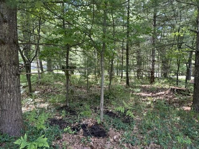 2424 Winona Street, East Tawas, MI 48730