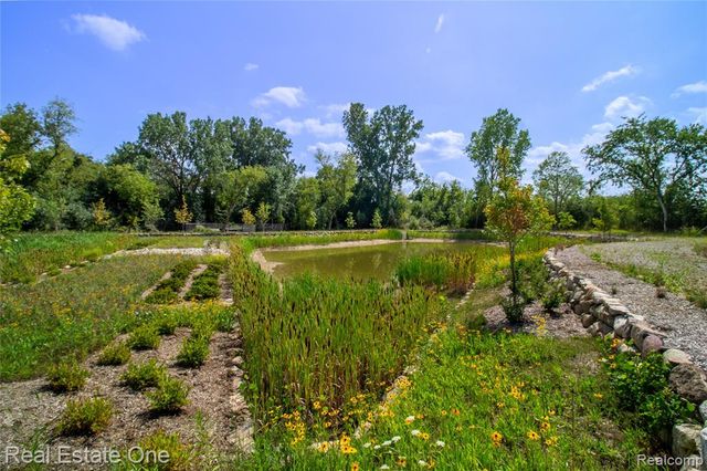 49530 Coldwater Ridge Drive, Northville, MI 48168