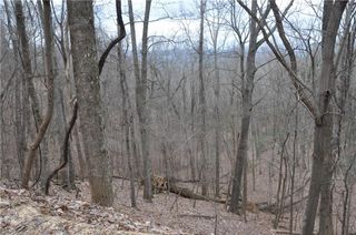 3012 Wild Turkey Bluff, Big Canoe, GA 30143