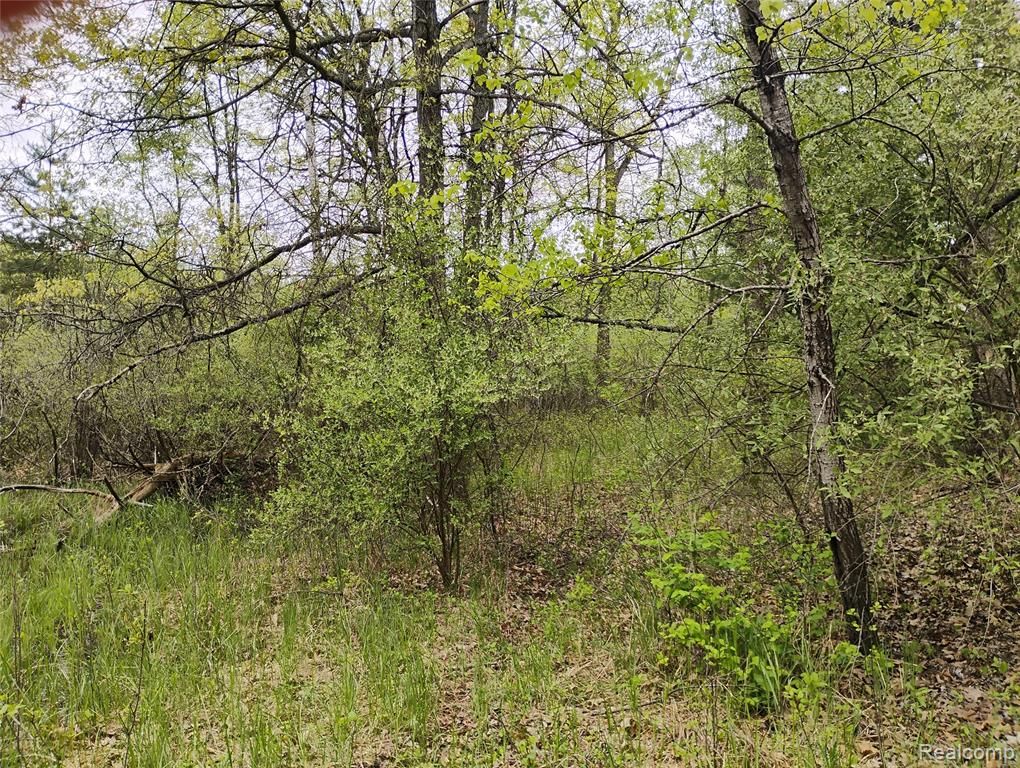 000 Middle Parc Middle Road, Highland, MI 48357