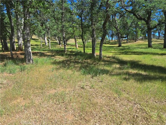 3128 Wolf Creek Rd, Clearlake Oaks, CA 95423