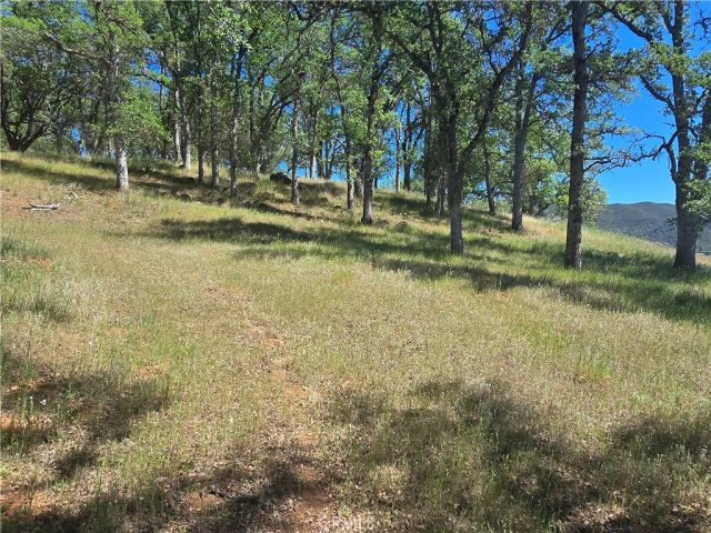 3128 Wolf Creek Rd, Clearlake Oaks, CA 95423
