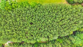 1637 Billingsley Road, Soddy Daisy, TN 37379