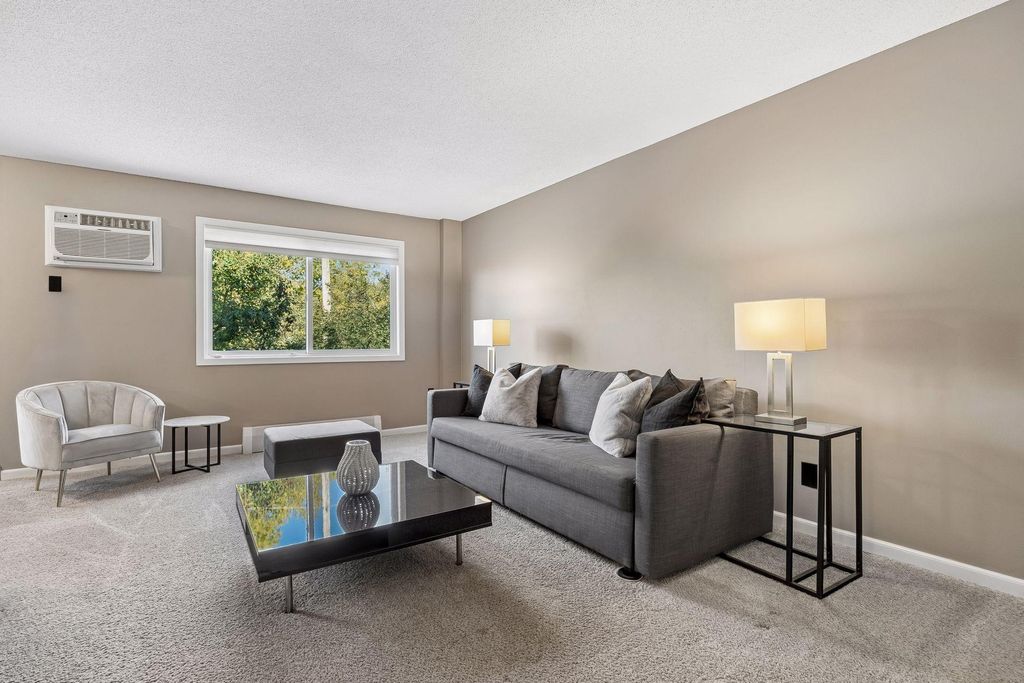 333 8th Street SE 219, Minneapolis, MN 55414 — photo 4