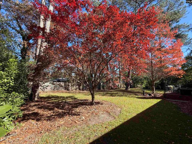 6606 Arcadia Woods Road, Columbia, SC 29206