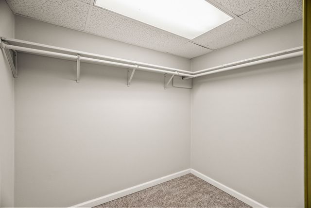 1005 Primrose Dr, Greenbrier, TN 37073