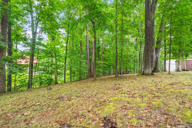 1005 Primrose Dr, Greenbrier, TN 37073