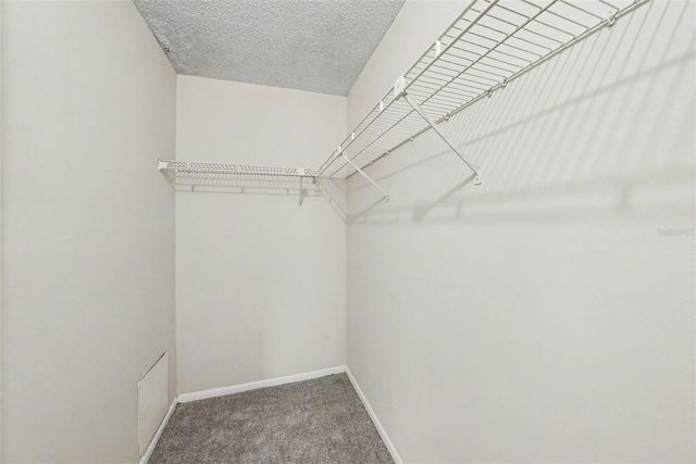 14319 HANGING MOSS CIRCLE 101, Tampa, FL 33613