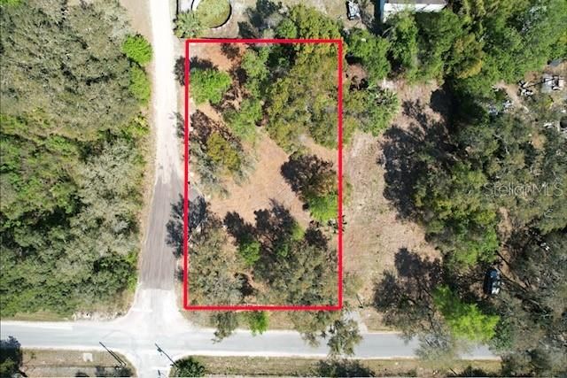 28815 AZALEA AVENUE, Paisley, FL 32767