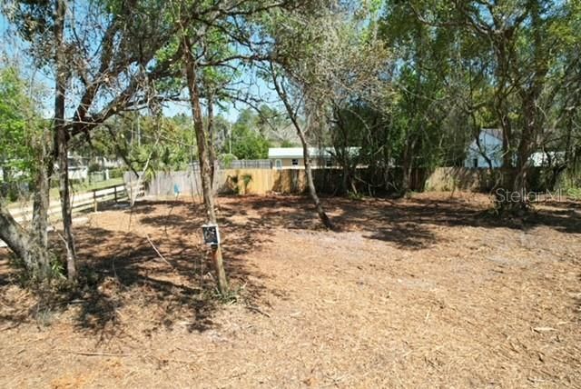28815 AZALEA AVENUE, Paisley, FL 32767