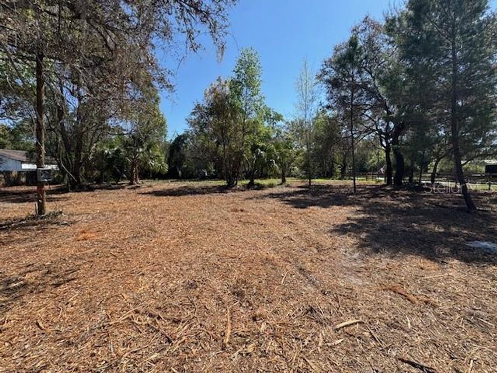 Image 8 of property listing at 28815 AZALEA AVENUE, Paisley, FL 32767