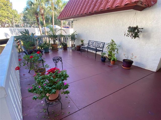 601 N MCDONALD STREET 208, Mount Dora, FL 32757