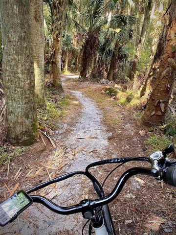 601 N MCDONALD STREET 208, Mount Dora, FL 32757