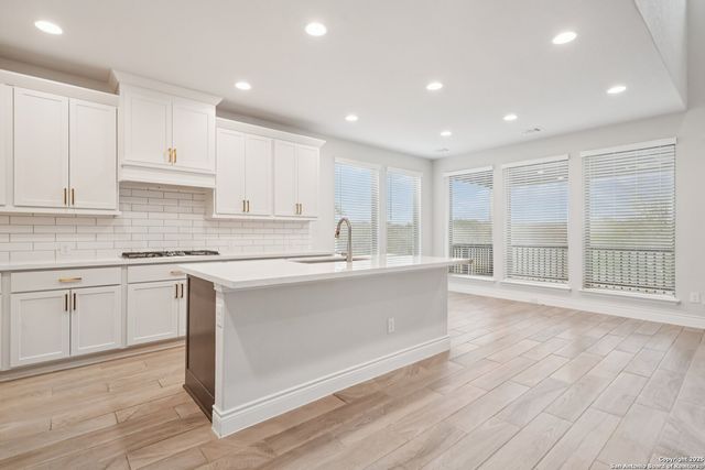 14047 May Mist, San Antonio, TX 78253