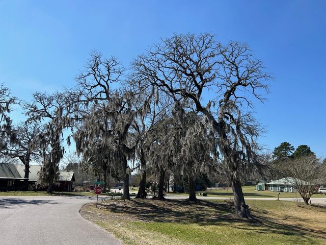 7 Wildwood Lake Drive, Huntsville, TX 77340