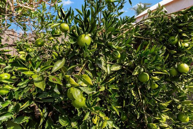 418 Manor Dr, El Cajon, CA 92020