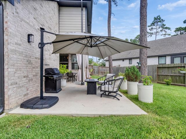 407 Soapberry Tree Court, Willis, TX 77318