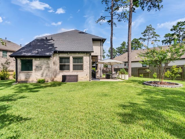 407 Soapberry Tree Court, Willis, TX 77318