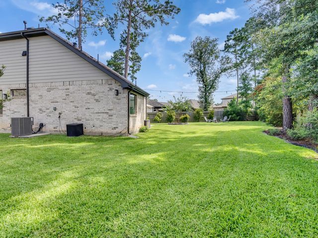 407 Soapberry Tree Court, Willis, TX 77318