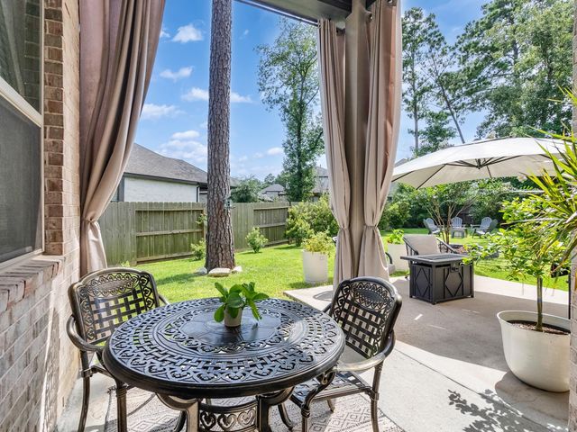 407 Soapberry Tree Court, Willis, TX 77318