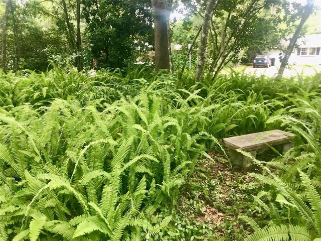 1723 NW 7TH AVENUE, Gainesville, FL 32603