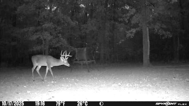 15031 N Fm-542, Oakwood, TX 75855