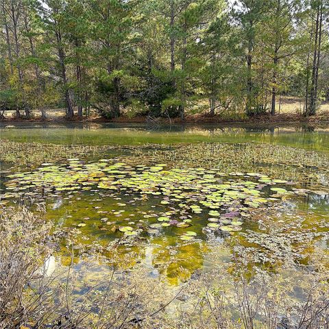 15031 N Fm-542, Oakwood, TX 75855