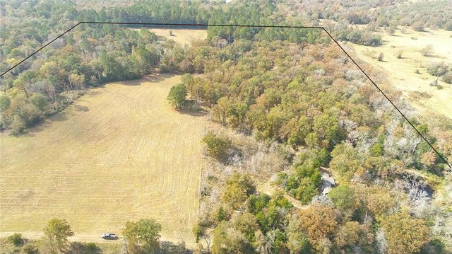 15031 N Fm-542, Oakwood, TX 75855