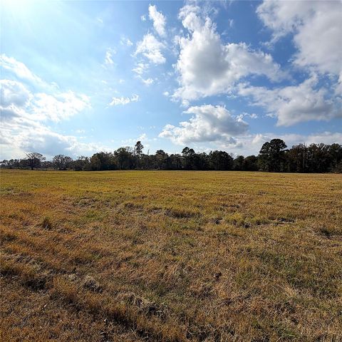 15031 N Fm-542, Oakwood, TX 75855