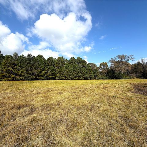 15031 N Fm-542, Oakwood, TX 75855