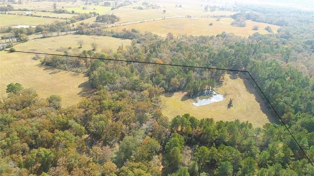 15031 N Fm-542, Oakwood, TX 75855